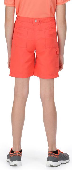 Produktbild Regatta Sorcer Ii Shorts (140)