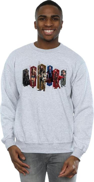 Produktbild Justice League Movie Team Hexagons Sweatshirt (M)