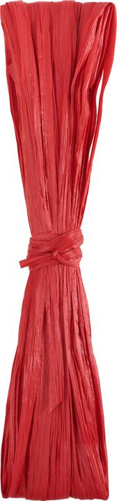 Image du produit Efco Raphia de viscose, mat, 20m