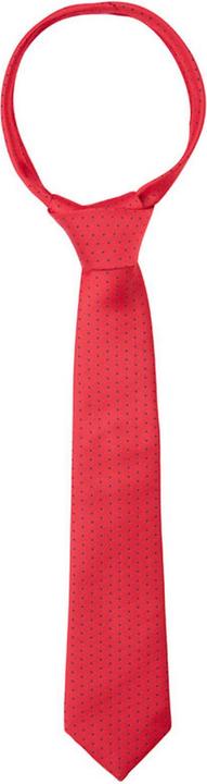 Actual product image Supreme Products Tournament tie