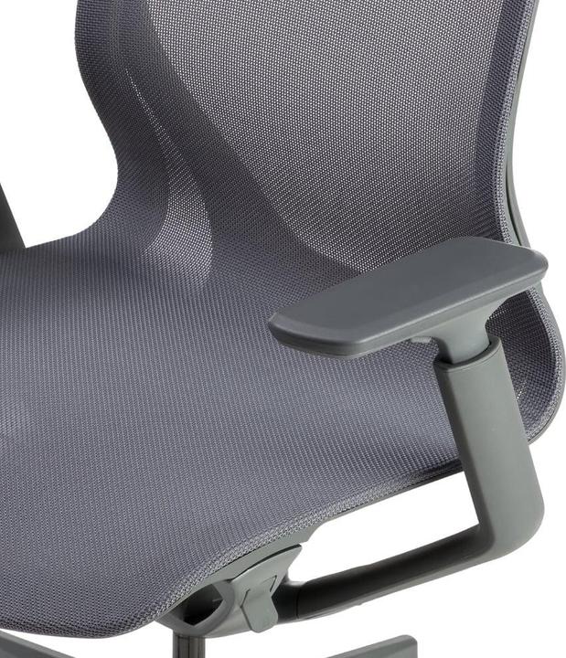 Actual product image Johann Jakob Aria
