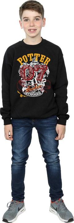 Produktbild Gryffindor Seeker Sweatshirt Jungen (140, 146)