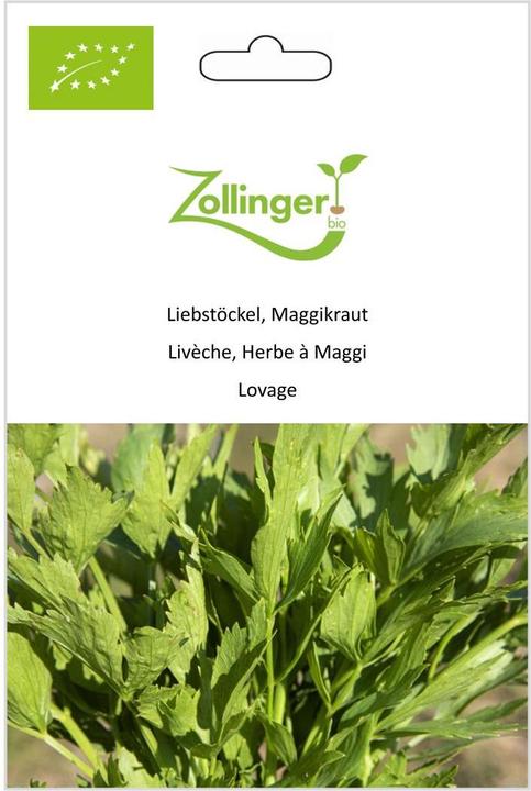 Image du produit Zollinger Bio Livèche, herbe maggi (Germes)