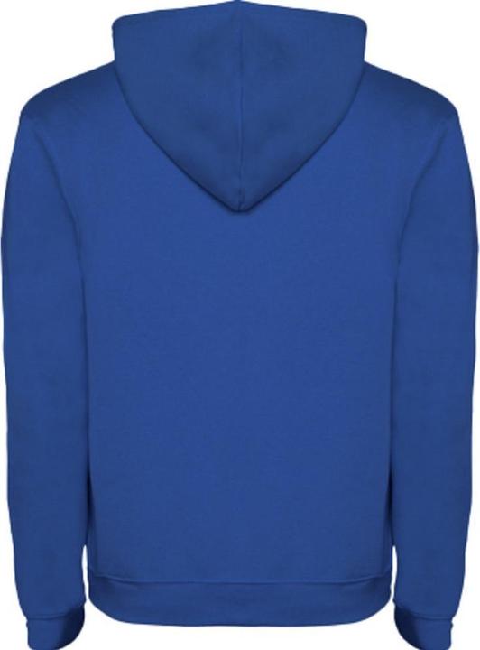 Actual product image Alpinia Mens Urban Hoodie (XL)