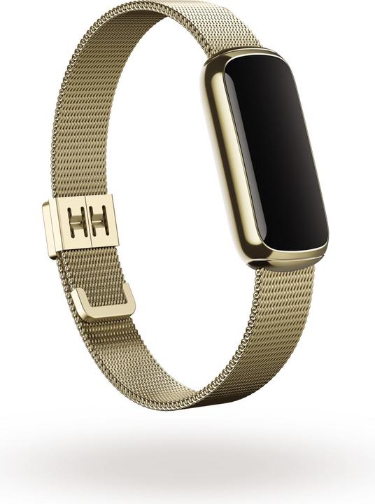 Image du produit Fitbit Bracelet en acier inoxydable de luxe (Acier inoxydable, Taille unique)