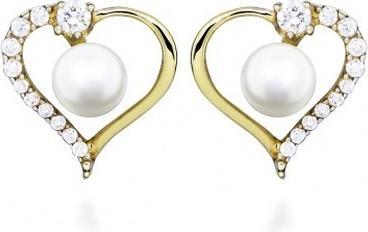 Immagine prodotto Silver Cat Romantici orecchini con zirconi placcati in oro SC518