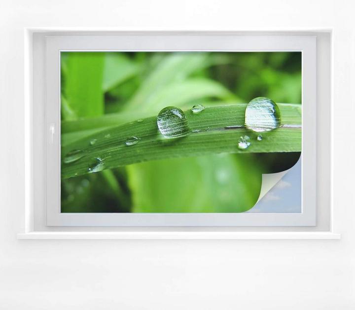 Produktbild Trenddeko Natur 4 (45 x 30 cm)