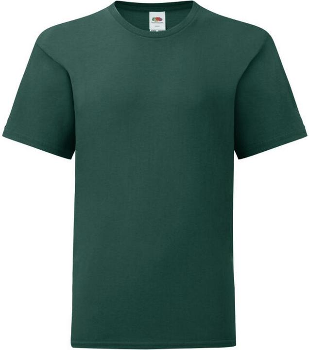 Fruit of the Loom Iconic 150 TShirt
