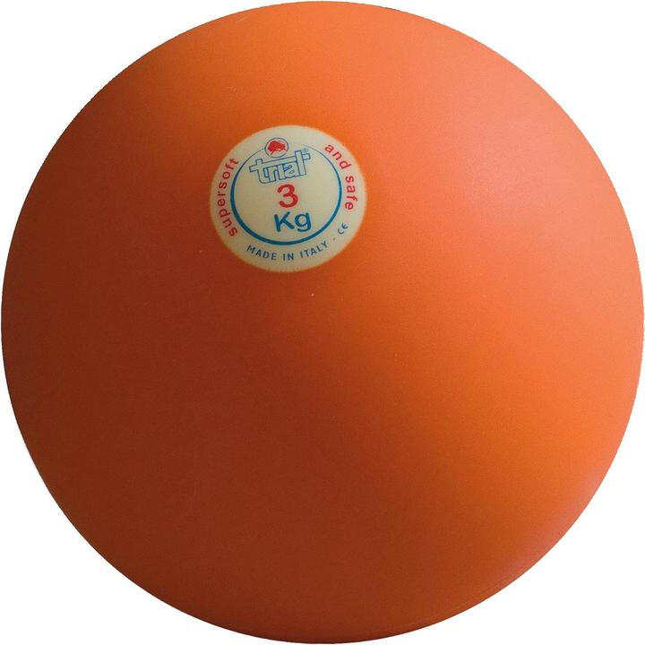 Trial Stosskugel (3000 g)