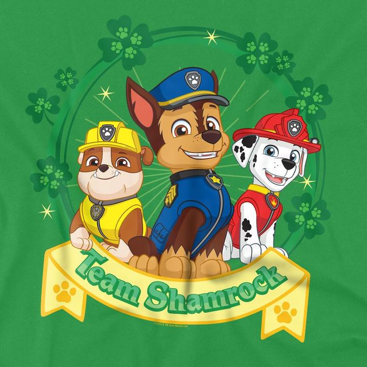 Actual product image Paw Patrol Mens Shamrock St Patricks Day T-Shirt (M)