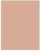 Produktbild Sisley Phyto Teint Nude No 2W1 (2W1 Light Beige)
