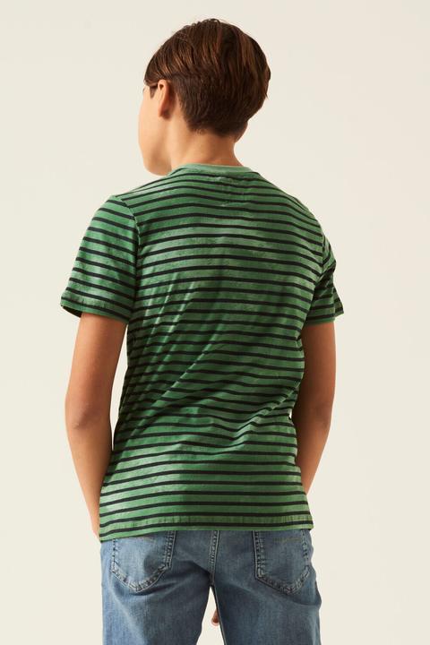 Actual product image Garcia Green Striped T Shirt (152)