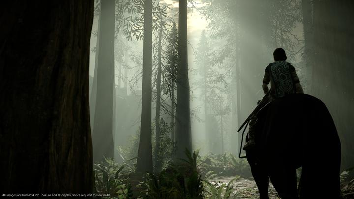 Produktbild Sony Shadow of the Colossus (PS4, DE)