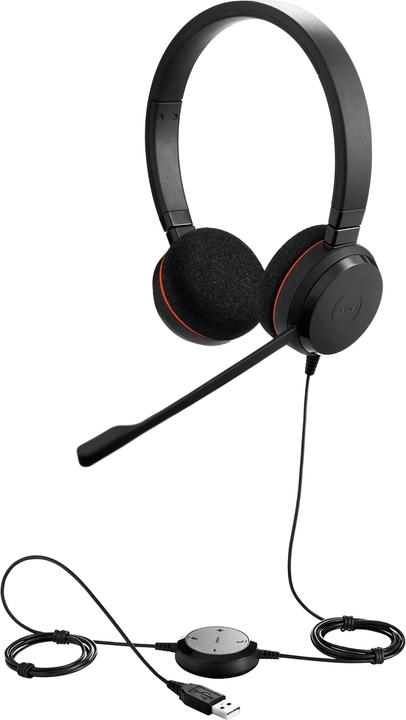 Image du produit Jabra Evolve 20 MS Stereo (Filaire, USB-A)