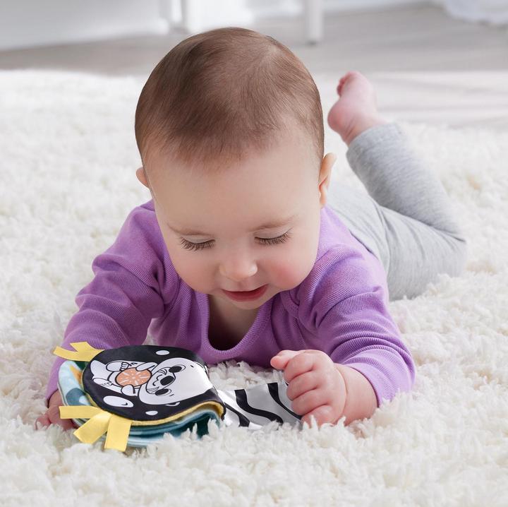 Produktbild Fisher-Price 2-in-1 Bauchlage Otter (11 cm)