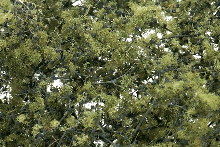 Actual product image Bachmann Trains Fine foliage olive green