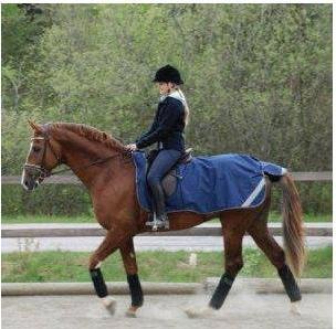 Bucas Nierendecke (155 cm)