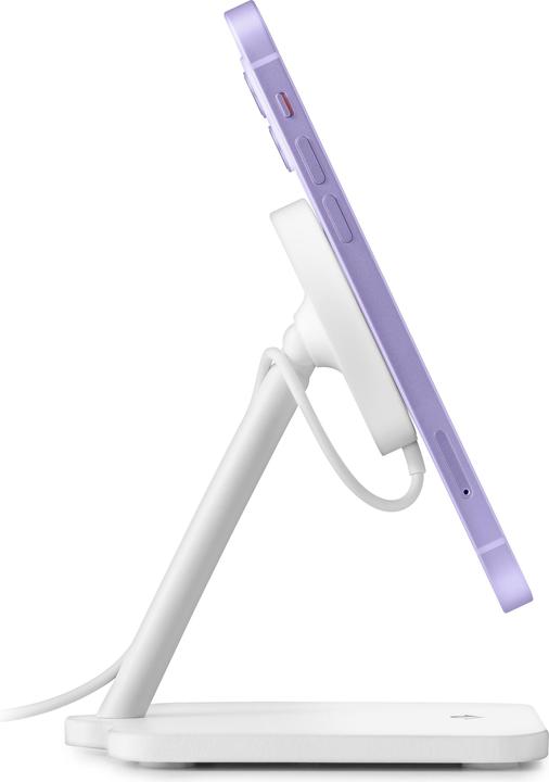 Image du produit TwelveSouth Forté (15 W)