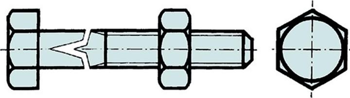 Actual product image Werkstarck Building screws DIN 601 (1 Screws per piece)