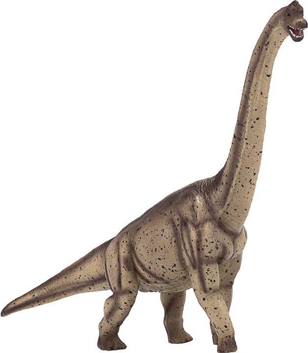 Actual product image small foot Brachiosaurus