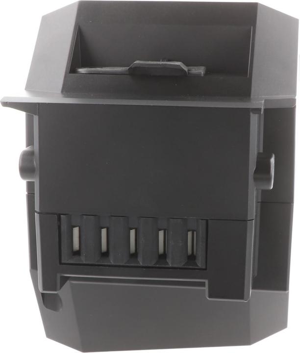 Immagine prodotto E-Bike-Vision Batteria Panasonic Next Generation 36V 691Wh (540 Wh, Batteria E-Bike)