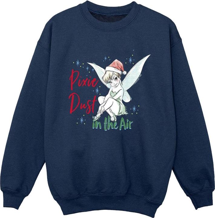 Actual product image Disney Boys Tinker Bell Pixie Dust Sweatshirt (104)