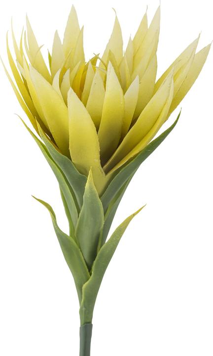 Actual product image Bloomingville Lily (76 cm)