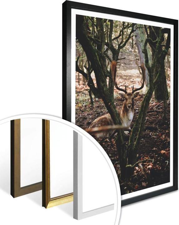 Actual product image Trenddeko Break in the forest (24 x 30 cm)