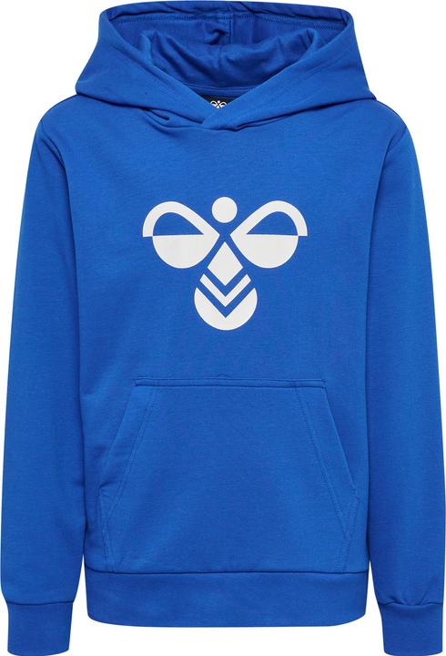 Actual product image hummel hmlCUATRO HOODIE (116)