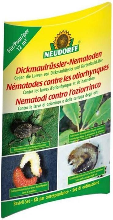 Neudorff Nématodes de l'otiorrhynque (kit de commande avec bon de commande) (Insectes nuisibles)