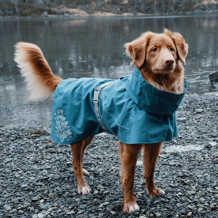 Image du produit Hurtta Monsoon Coat bilberry (50, Manteau pour chien)