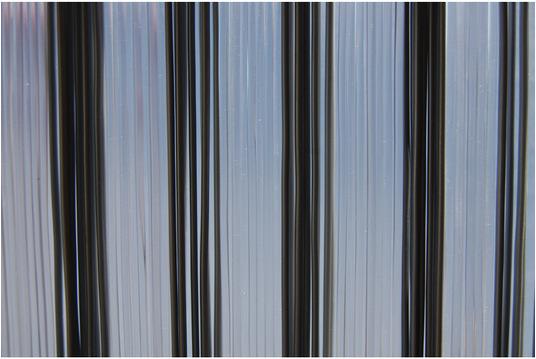 Immagine prodotto Tenda Zanzariera (100 x 230 cm)