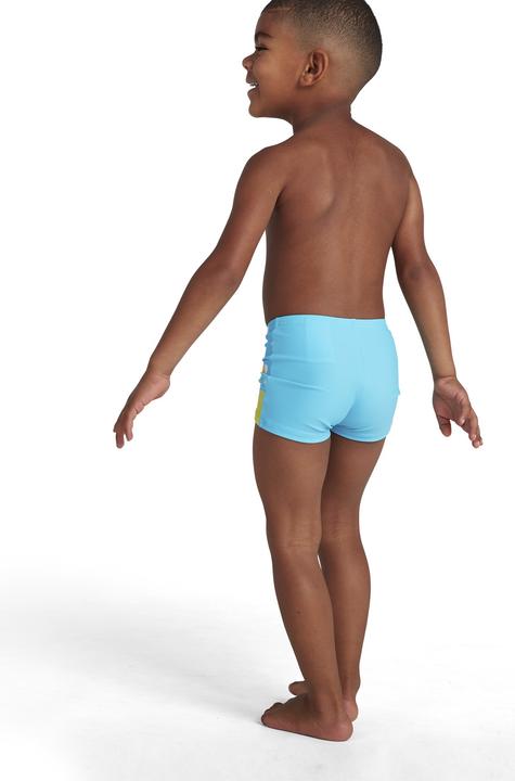 Immagine prodotto Speedo Turtle Placement (74, 80)
