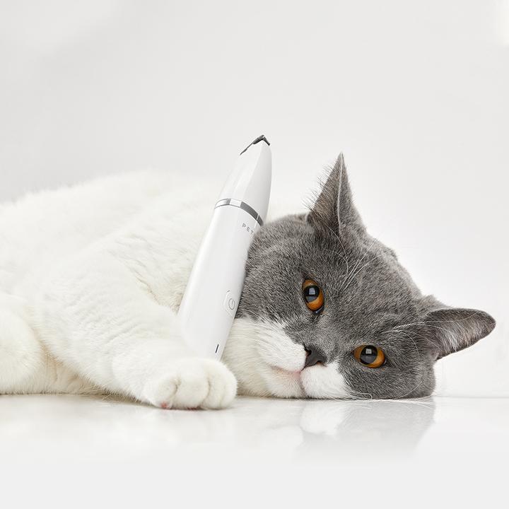 Actual product image Petkit 2 in 1 (Dog)
