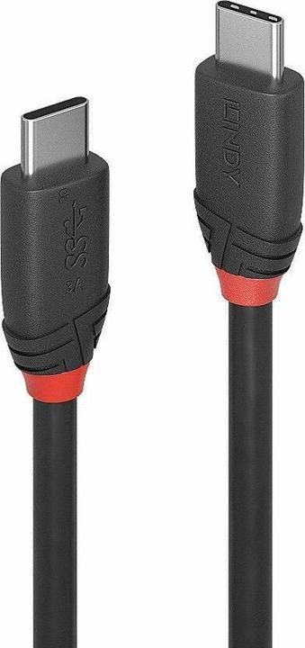 Actual product image Lindy black line (0.50 m, USB 3.1, 60 W)