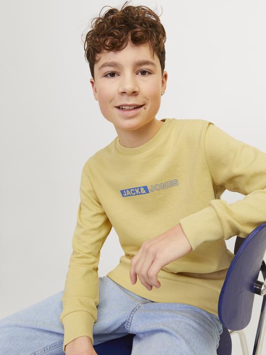 Produktbild Jack & Jones Gedruckt Sweatshirt mit Rundhals Für jungs Sweatshirt mit Rundhals (164)