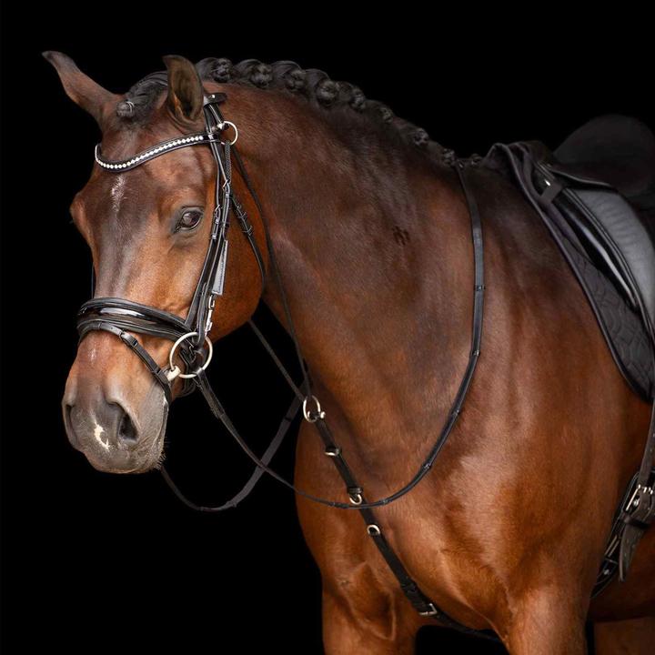 Image du produit Imperial Riding Core