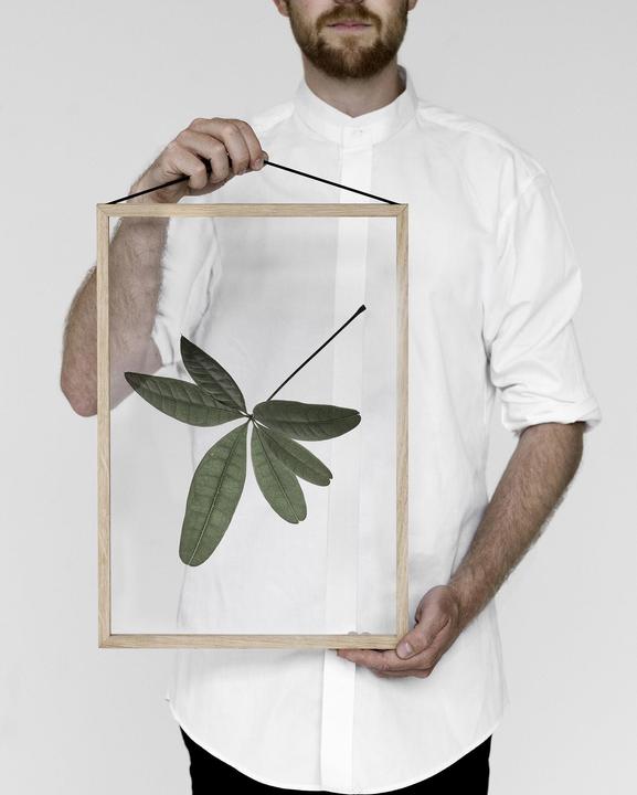 Actual product image Moebe Frame (59 x 42 cm)