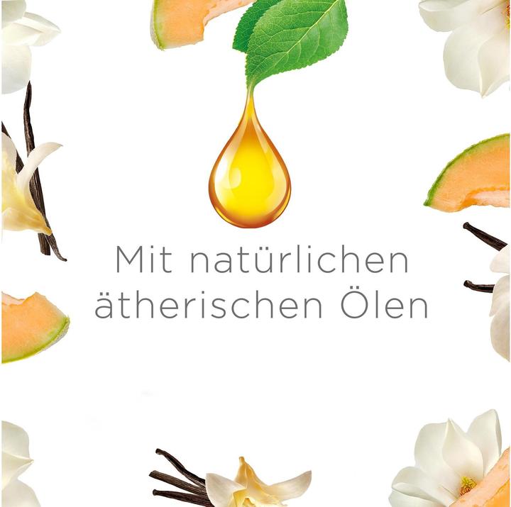 Produktbild Air Wick Sommervergnügen