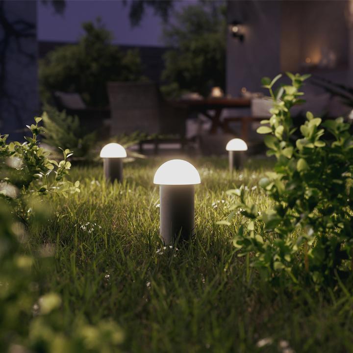Actual product image Philips Edwina 3er-Set Niedervolt