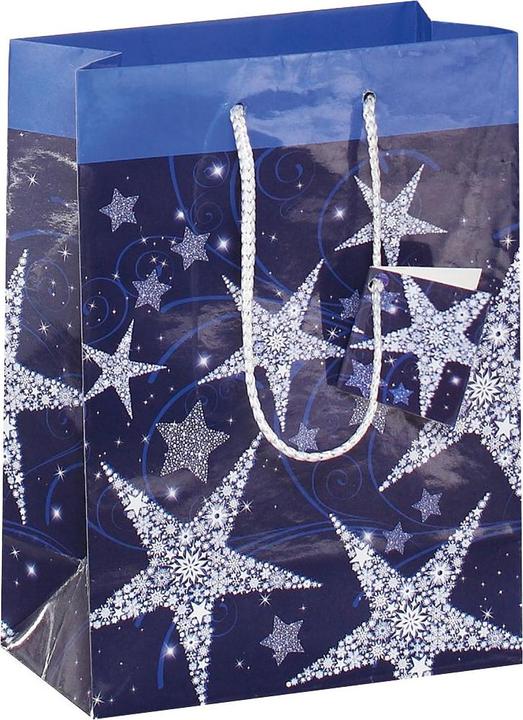 Image du produit Sigel 5 Pochettes cadeau Shining Star motif 17,0 x 23,0 cm (Pochette cadeau, 1 x)