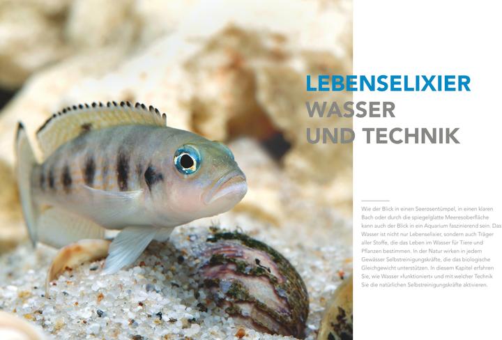 Produktbild Das grosse Praxishandbuch Aquarium (Deutsch, Ulrich Schliewen, 2017)