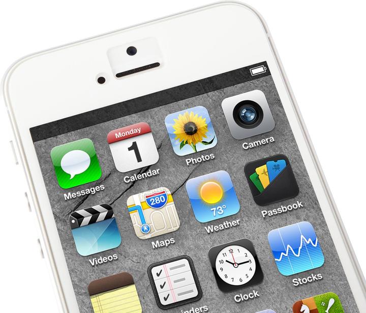 Image du produit Moshi iVisor (1 pièce(s), Apple iPhone 5)