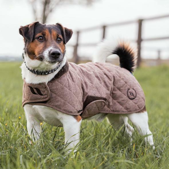 Actual product image Back on Track dog coat haze collection 58 (Dog coat)
