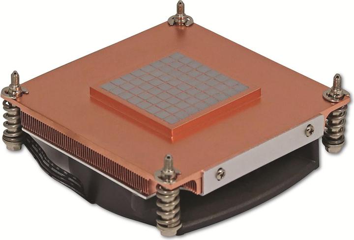 Actual product image Intertech Q-3 1U active Intel Socket LGA 1700 (28 mm)