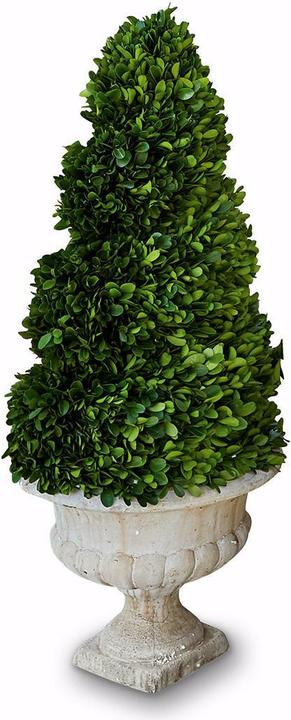 Actual product image Loberon Decorative tree Humbria green / cream (75 cm)