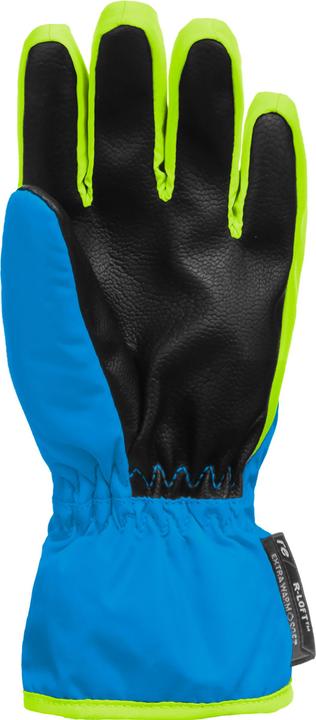 Produktbild Reusch Ben (L)