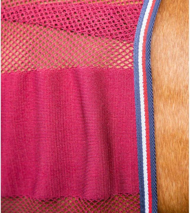 Actual product image Premier Equine Arisca Scrim (160 cm)