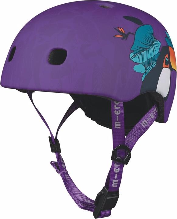 Toucan