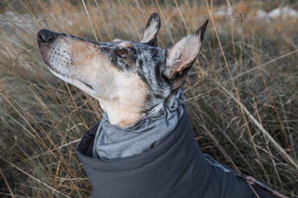 Immagine prodotto Hurtta Extreme Overall (60, Cappotto per cani)